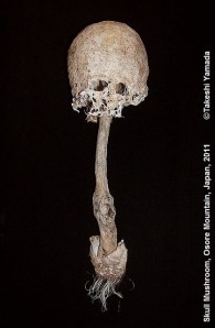 5725108088_656db973a8_z