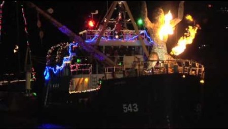 White Holly BM style crop