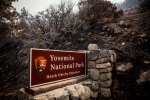 A sign on the edge of Yosemite National Park, California, is surrounded by a burn from the Rim&nbsp;Fire.