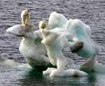 arctic-ice