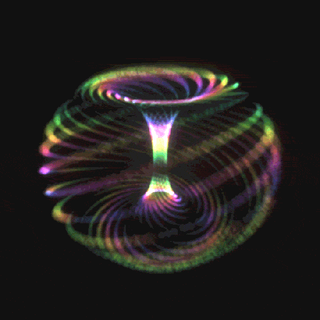 torus field.gif